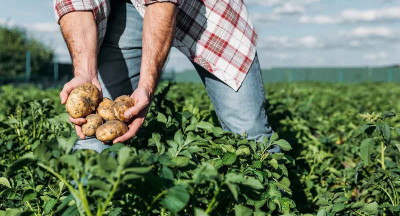 Lidl takes next step in reducing pesticide use
