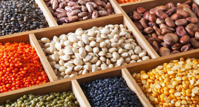 Brussels wants its own protein sector for the EU