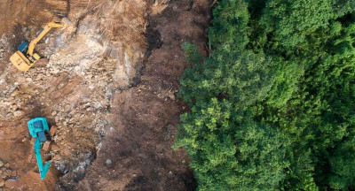 EU deforestation law faces new uncertainty