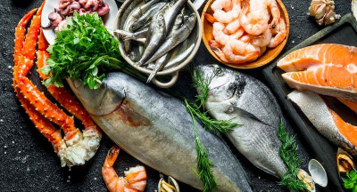 PFAS found in fish across the Dutch supply chain