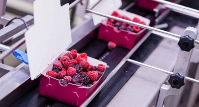 Fevia calls for change in Walloon food industry