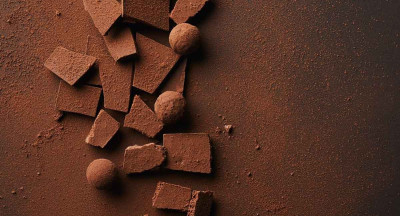 Barry Callebaut explores chocolate from cocoa cells