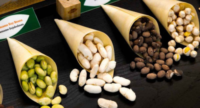 New Anuga trade fair highlights alternative proteins