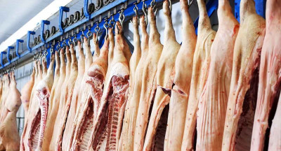Germany produces more pork, less beef