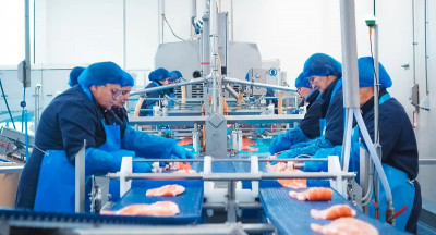 Norwegian Seafood zet LoopiX in tegen Listeria