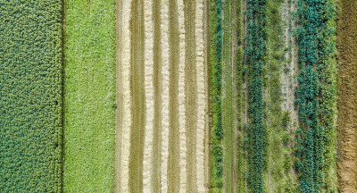 Regeneratieve landbouw krijgt steun van foodreuzen
