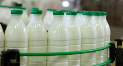 FNV dreigt met grootste staking ooit in de zuivelsector