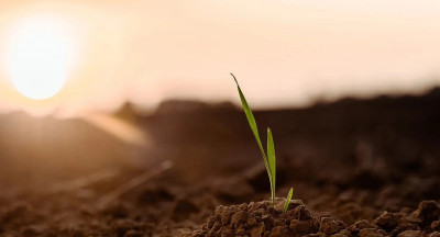 Limburg krijgt miljoenen voor innovatie in food
