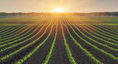 Het verbouwen van ons voedsel vraagt meer grond dan beschikbaar is