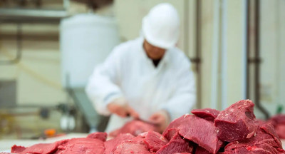 VleesNL overweegt juridische stappen tegen uitzendverbod