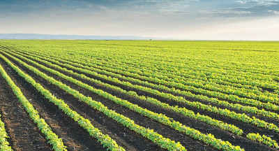 Doel 15% biologische teelt nog ver weg
