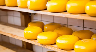 Voedselverspilling in kaasproductie blijkt laag