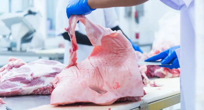 Uitzendverbod in de vleesketen: laat je stem horen