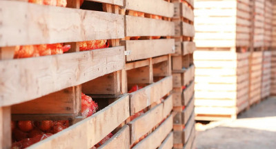 Strengere importregels biologisch voedsel op komst