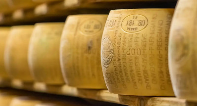 Productie Parmezaanse kaas in de knel door extreme hitte