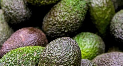 Groeiend aanbod van avocado’s brengt onzekerheid