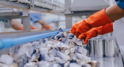 Histaminecontrole in visketen schiet tekort