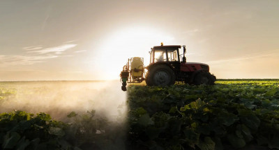 Nederlandse herkomst geen garantie voor minder pesticiden