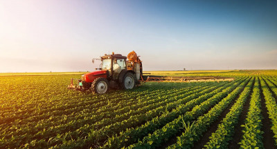 EFSA verlaagt veilige grens voor TFA in voeding