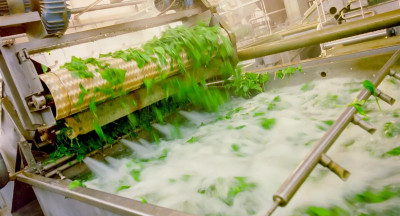 Beschikbaarheid van water vormt risico voor de voedingsindustrie
