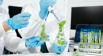 Wallonië wil koploper worden in agrifood biotechologie