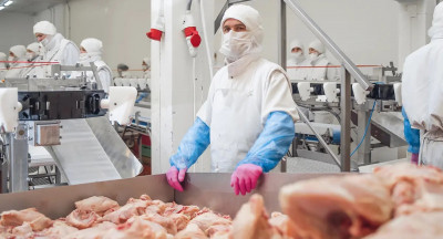 VleesNL verzet zich tegen uitzendverbod vleessector
