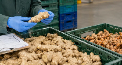 Nieuwe importeisen voor gember en kurkuma