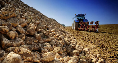 FAO: wereldvoedselprijzen stijgen met 1,9 procent