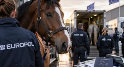 Horse trafficking targeted in major European operation
