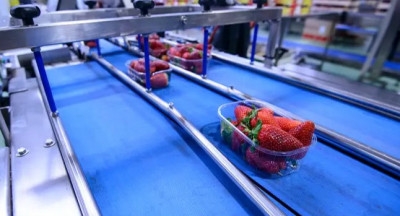 kabinetsplannen zetten investeringen voedingssector onder druk