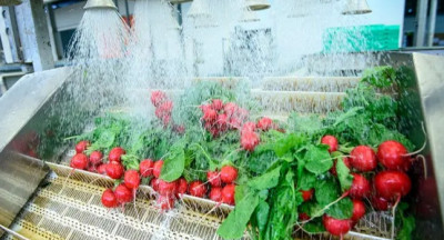 Kans op kruisbesmetting met allergenen bij waterhergebruik