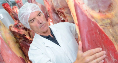 FNV: hoge werkdruk bij keurmeesters in slachthuizen