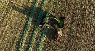 ABN AMRO: boeren en telers financieel weerbaar