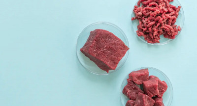 Cultivated meat tasting pilot extended by two years