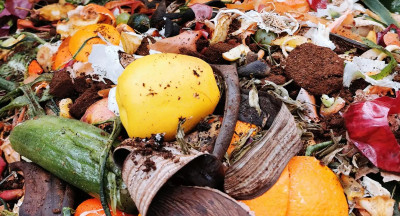 Food industry accounts for 19% of food waste in Europe