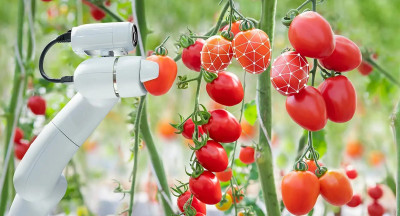 AI in voedselketen: consument voorzichtig positief