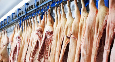 Vlaanderen wil verplicht cameratoezicht in slachthuizen