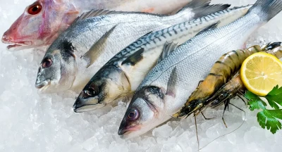 Vis soms even klimaatvriendelijk als peulvruchten